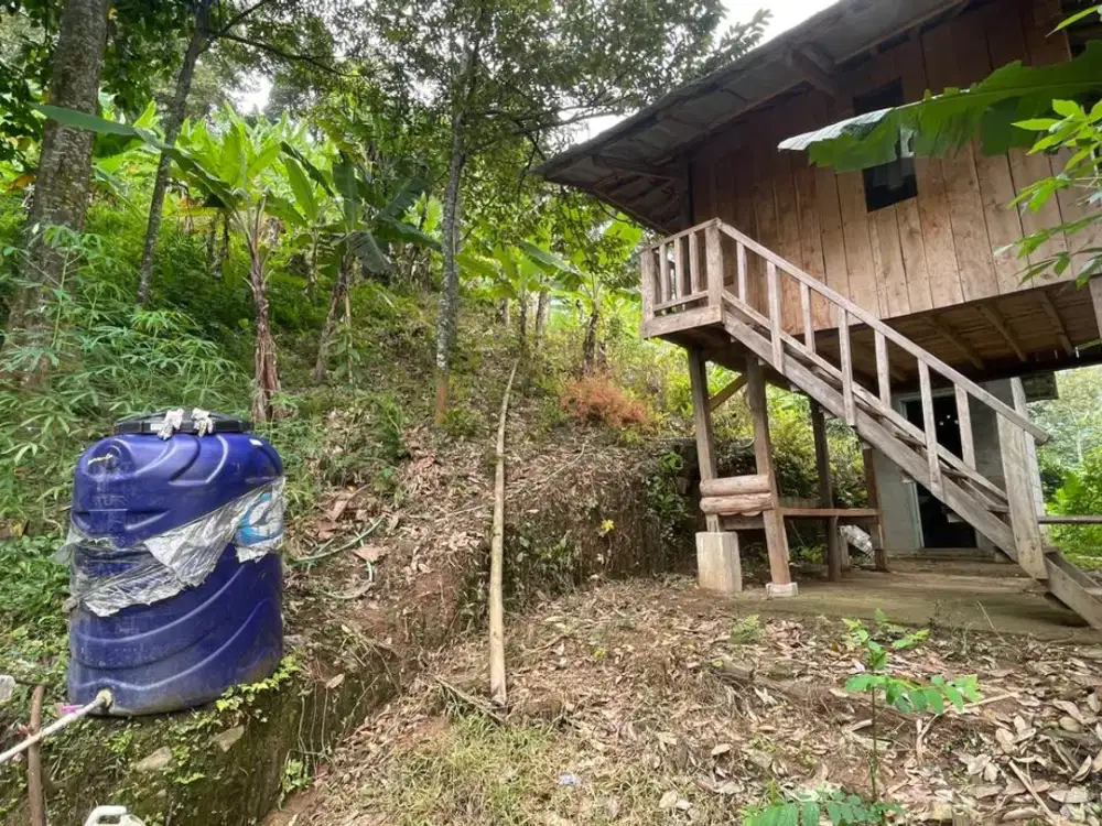 Dijual Murah Tanah Kebun Duraian + Buah Buahan di Tegalwaru Karawang