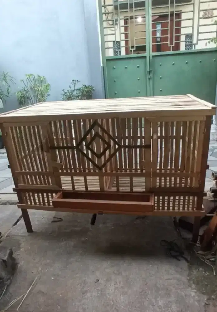 Kandang ayam pembesaran