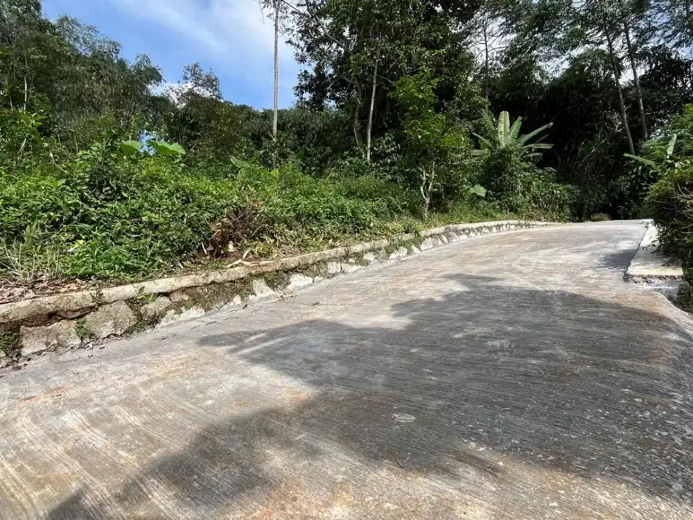 Tanah Kebun Pinggir Jalan Mobil Perkampungan Purwakarta Dijual Murah