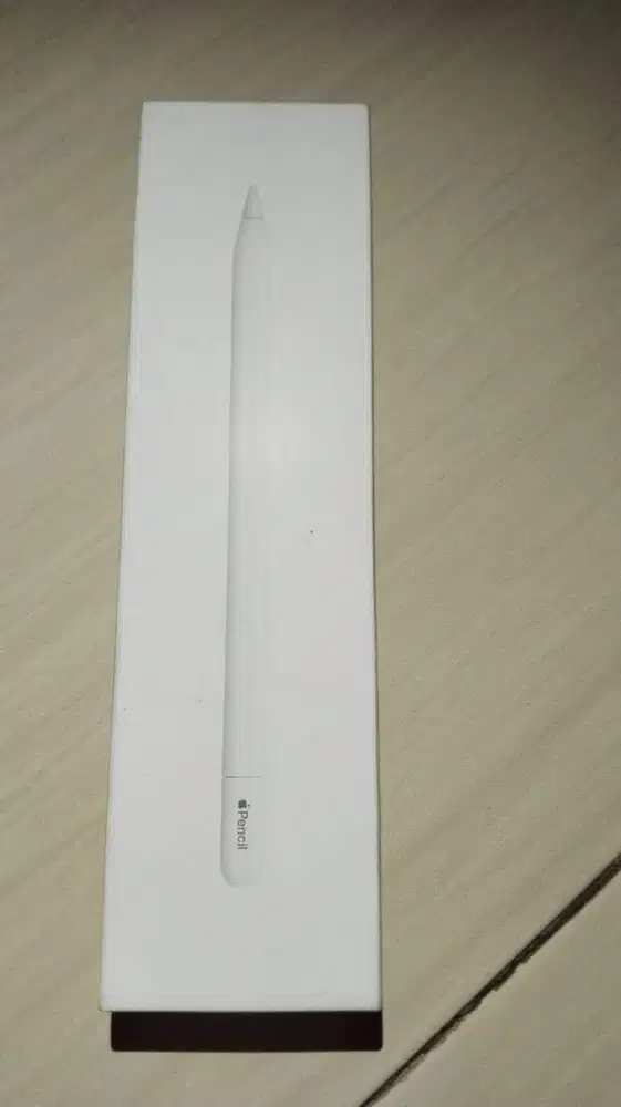 Apple Pencil USB-C Ori (IPAD)