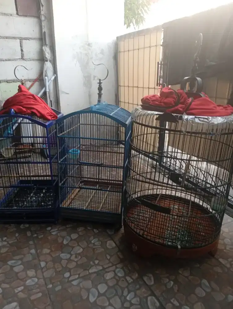 Jual sangkar burung3pcs