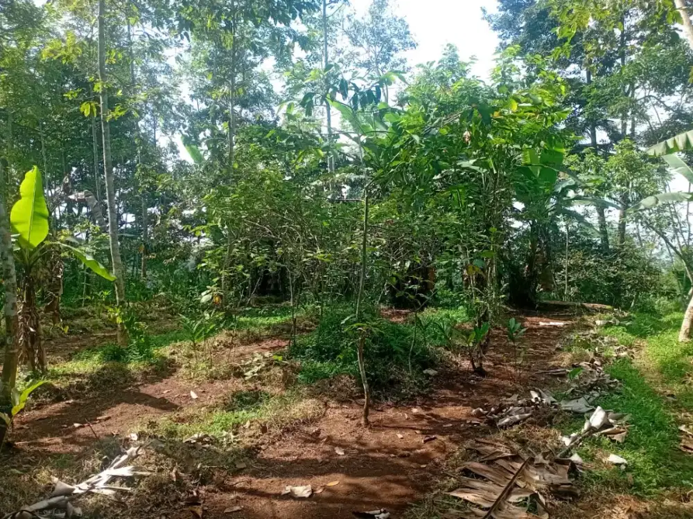 Dijual tanah pinggir jln 2500 m2,daerah wisata baturaden,purwokerto