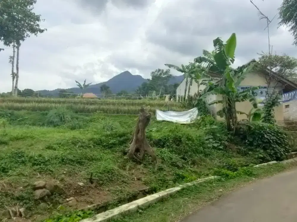 Dijual Murah Tanah Darat + Sawah Ada Mata Air di Serangpanjang Subang