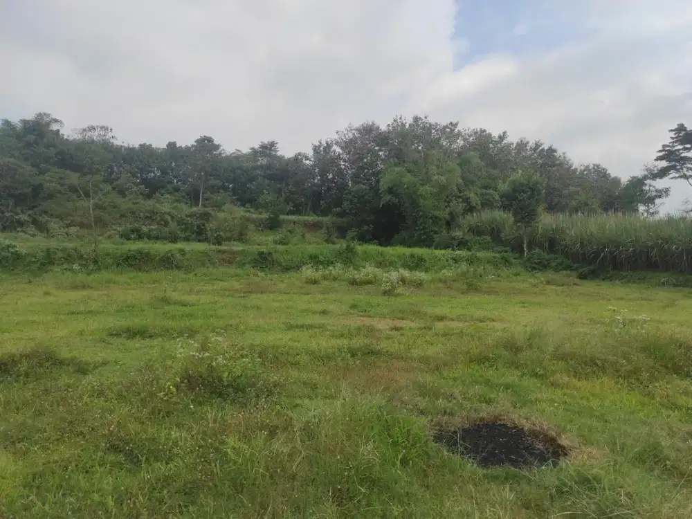 Tanah Di Wagir Kawasan Berkembang Sertifikat SHM