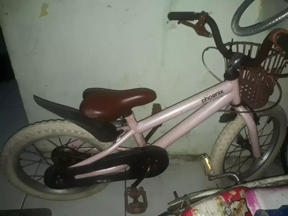 Sepedah anak merk phoenix
