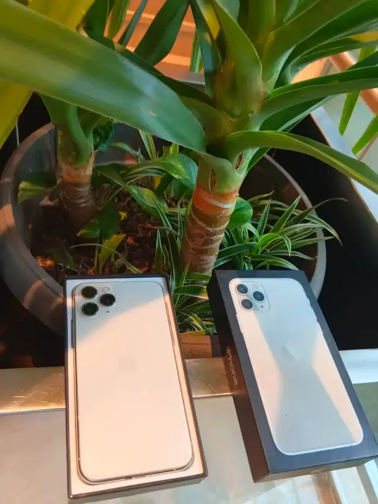 Iphone 11 pro 256gb sepacialis mulus