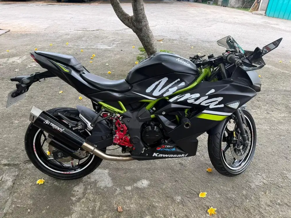 Ninja 250 SL Mono