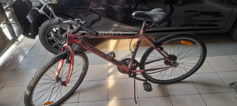 MTB - Mountain Bike Genio