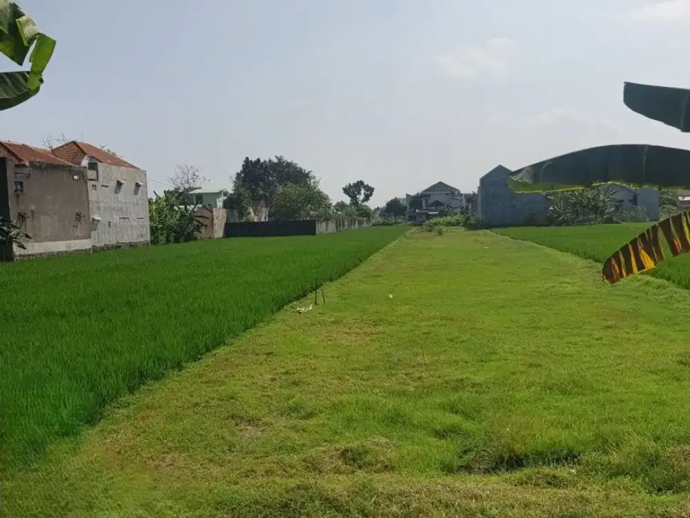 TANAH KARANGTURI MOJOLABAN SUKOHARJO (ML1961)