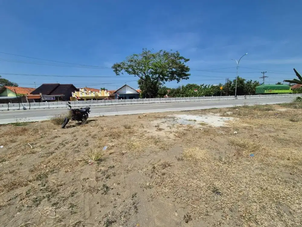 TANAH RAYA DEMANGHARJO WARUREJO TEGAL (WR438)