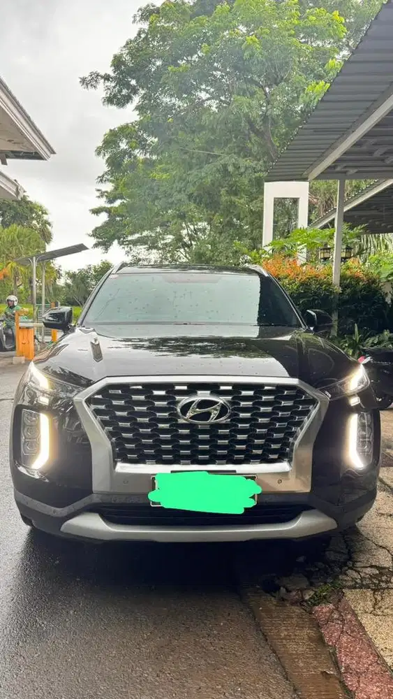 Palisade Signature 2.2 AT