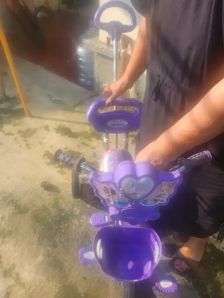 Sepeda family roda tiga