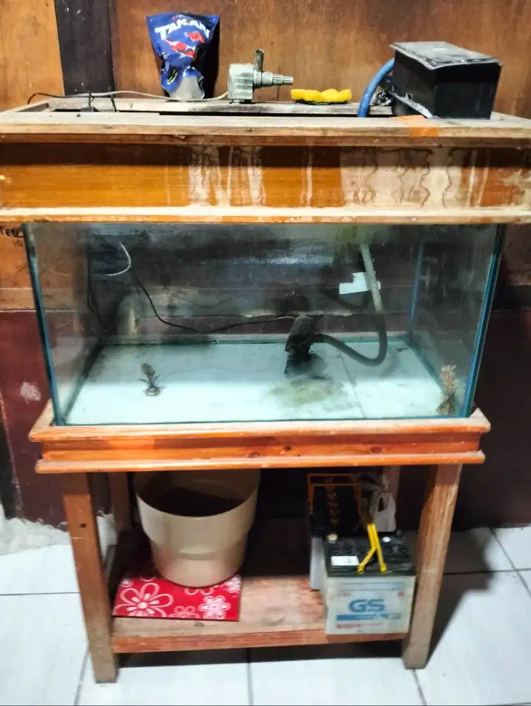 Aquarium Uda gk kepakai