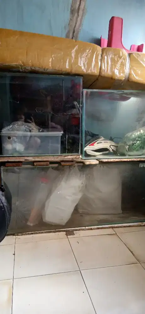 Aquarium ikan ada 3 buah