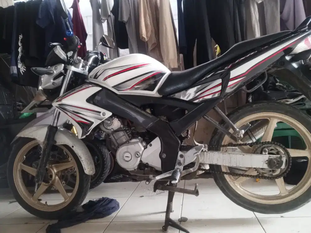 Jual Vixion pajek hidup