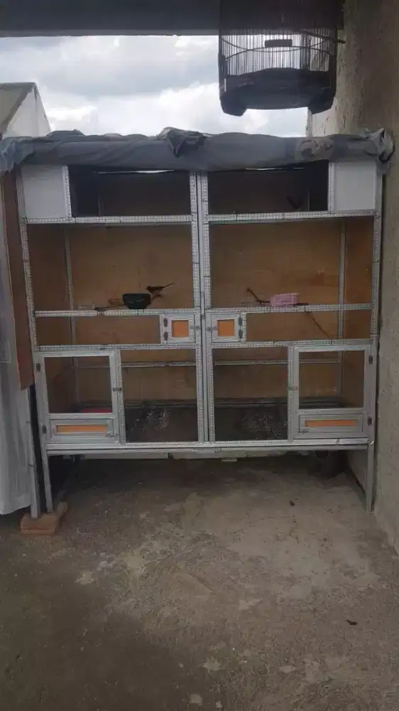 Kandang ternak murai 2 pintu pakai sekatan ukuran 180cm × 80cm × 190cm