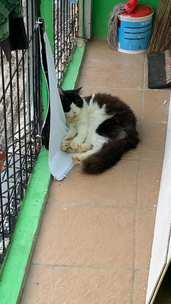 mencari pekerjaan wanita yg serius