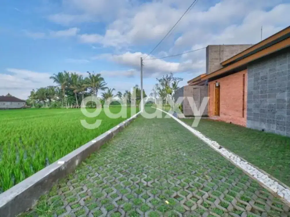 VILLA NEW TROPICAL MODERN MINIMALIS DI LODTUNDUH UBUD GIANYAR, BALI - Thumbnail 4
