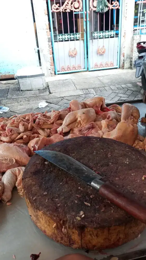 Jua ayam potong murah