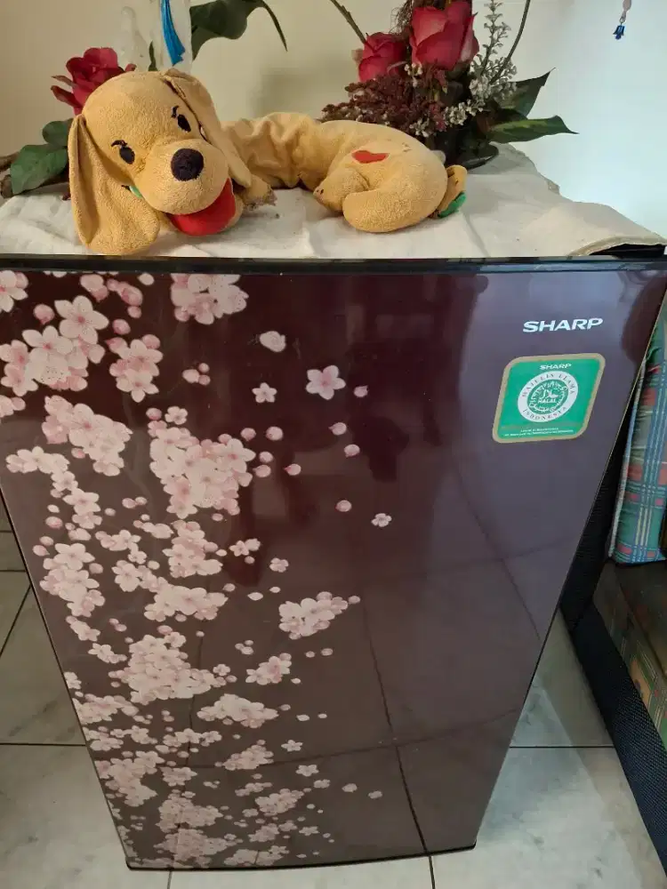 Kulkas Sharp satu pintu
