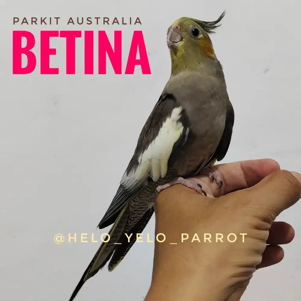 Falk / Parkit Australia - BETINA