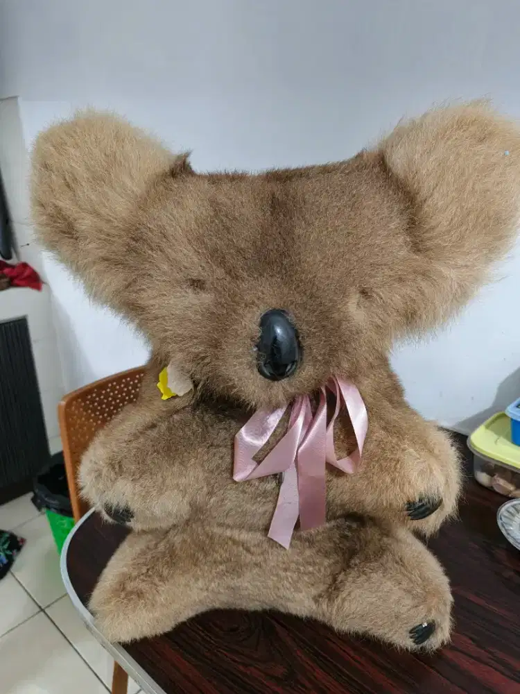 Boneka koala Australia