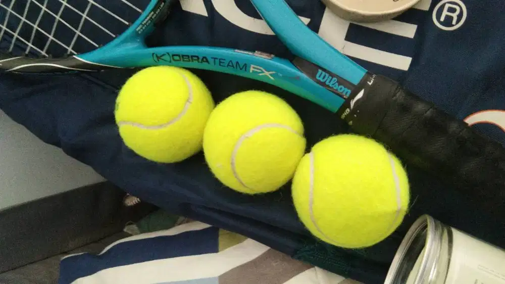 Jual raket tenis Wilson (K)obra Team FX free tas tenis pro ace