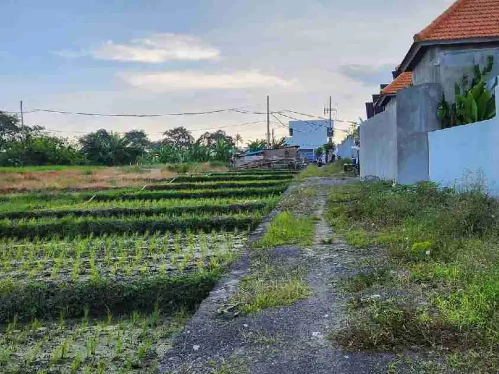 DIJUAL TANAH MURAH SESEH