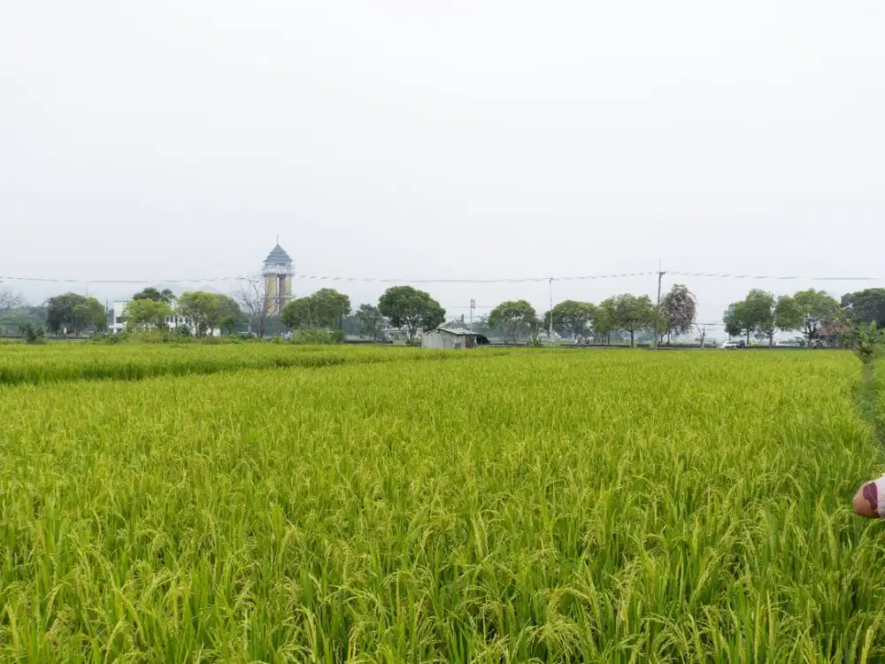 Dijual Cepat Tanah Lokasi Strategis Cocok Untuk Usaha Di Soreang Bandung Selatan