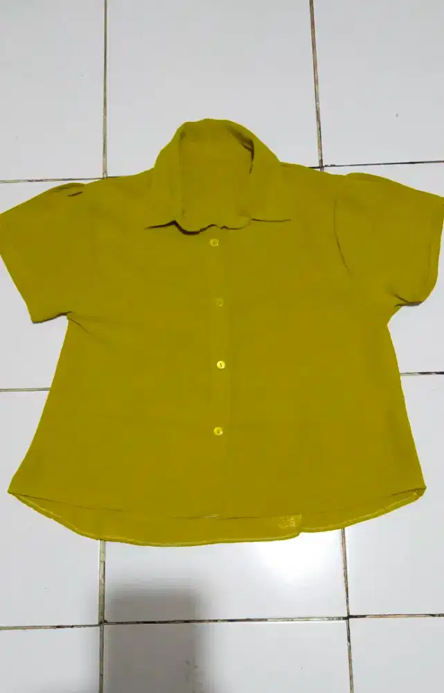 Atasan crop sopan wanita