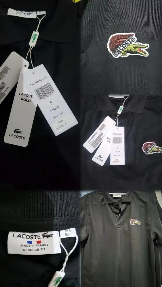 POLO LOCASTE ORIGINAL