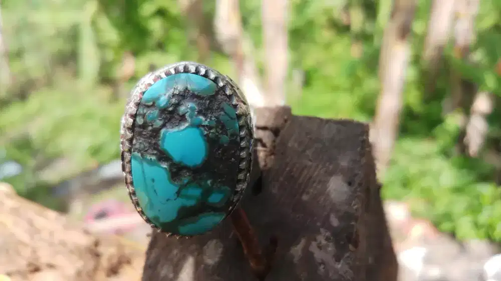 Pirus Persia Ngeriikil