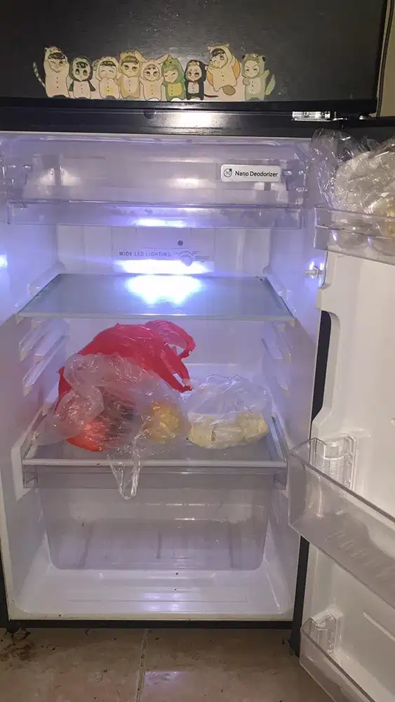 Kulkas sharp 2 pintu