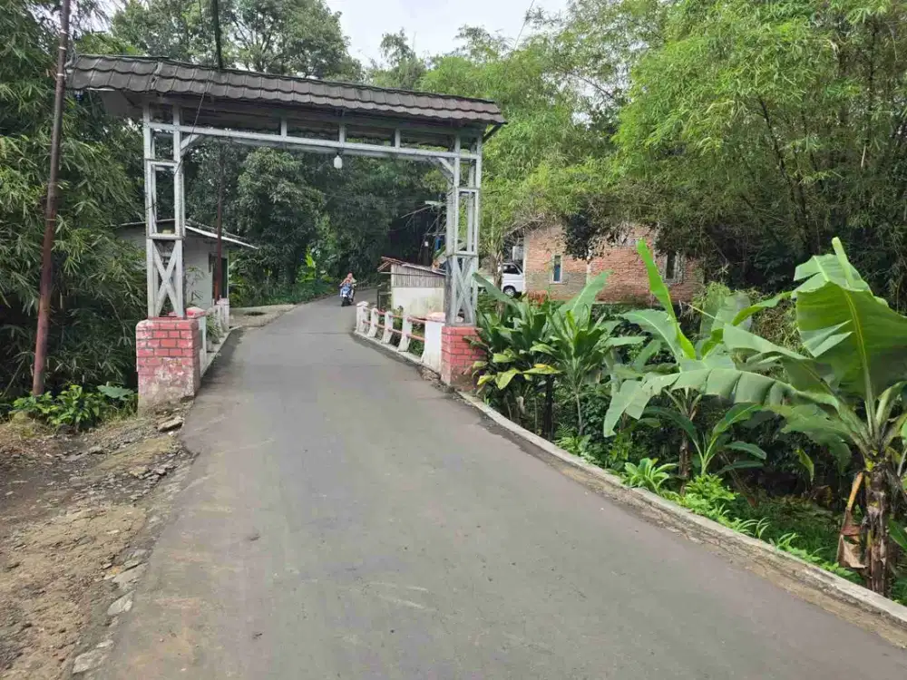 Jual murah tanah subur,luas dan harga bagus.