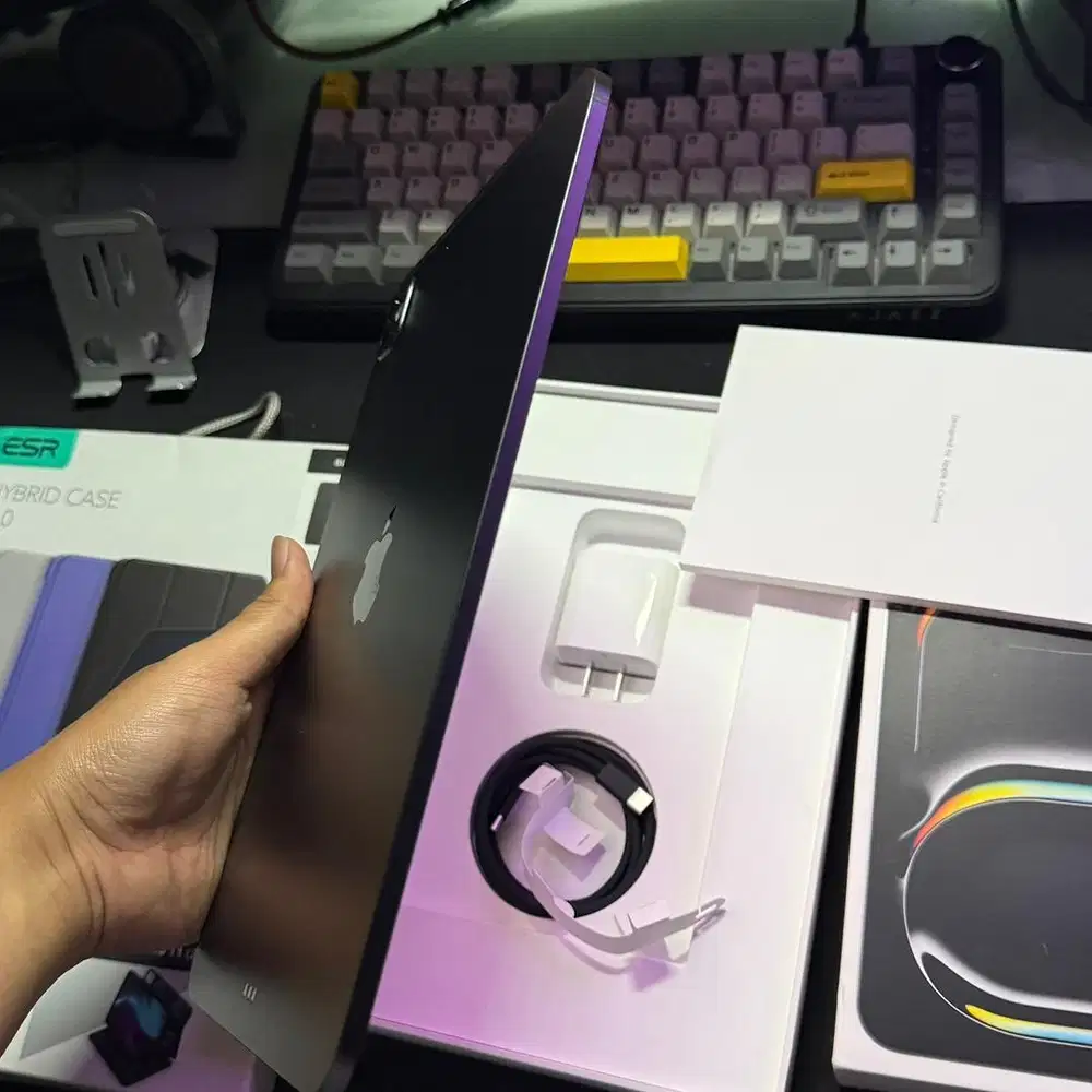 Ipad Pro m4 11 inch wifi 512GB Ex Inter garansi s/d Juni 2026