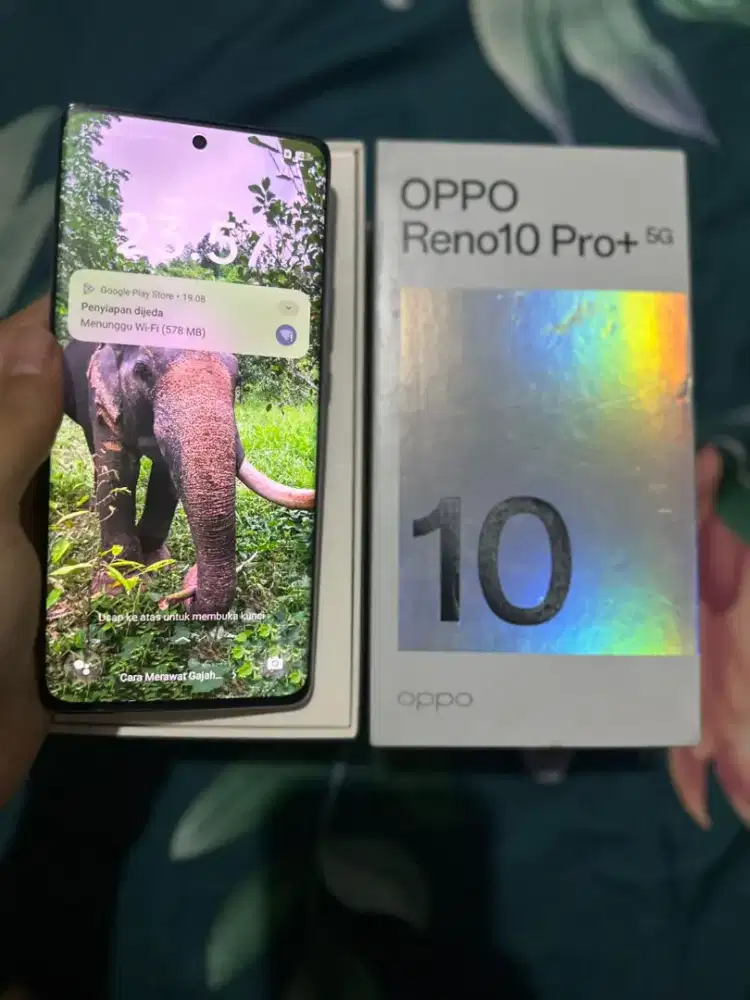 Oppo reno 10 pro plus 5G
Ram 12/256 GB
FULLSET
NO MINUS
4,7