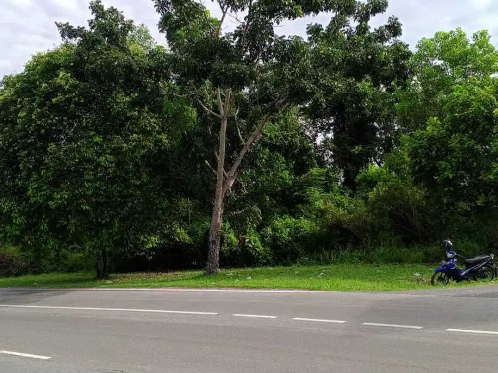 Tanah Murah Siap Bangun Luas 1,3 Ha di Pangkalpinang Bangka Belitung