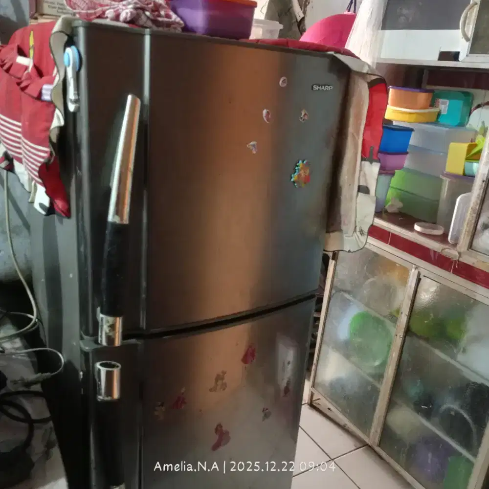 Kulkas Sharp samurai 2 pintu