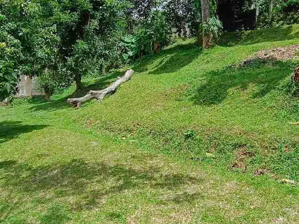 Dijual Tanah Siap Bangun Lokasi Cocok Utk Cafe outdoor Hidden Gem di Jagakarsa Jakarta Selatan