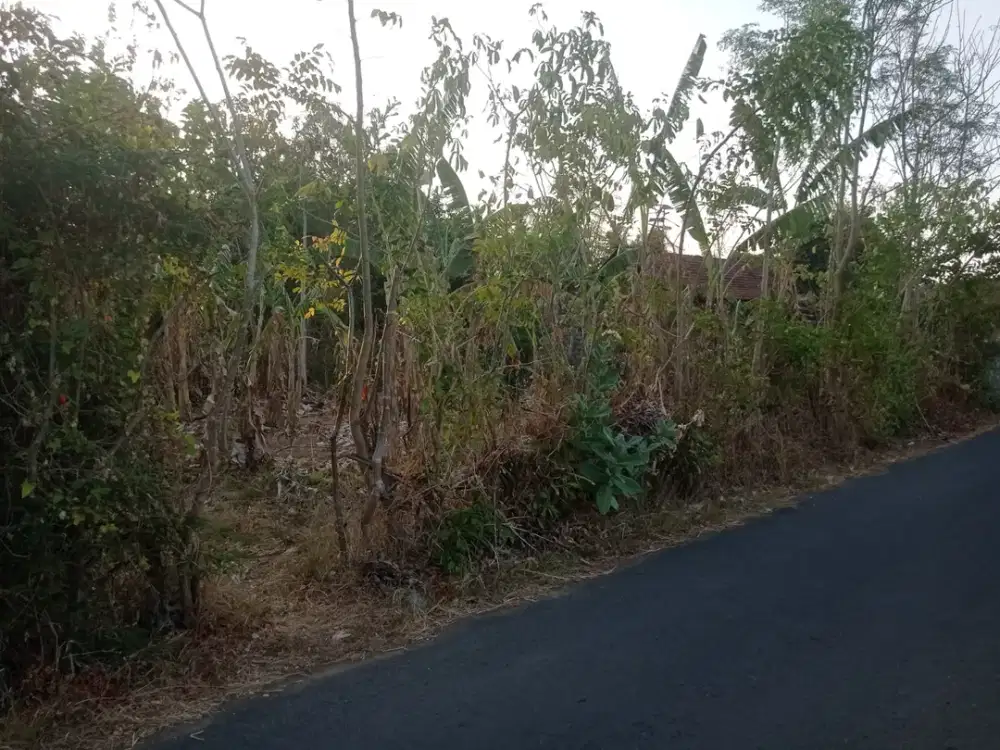 Tanah Gerokgak Buleleng Bali BU