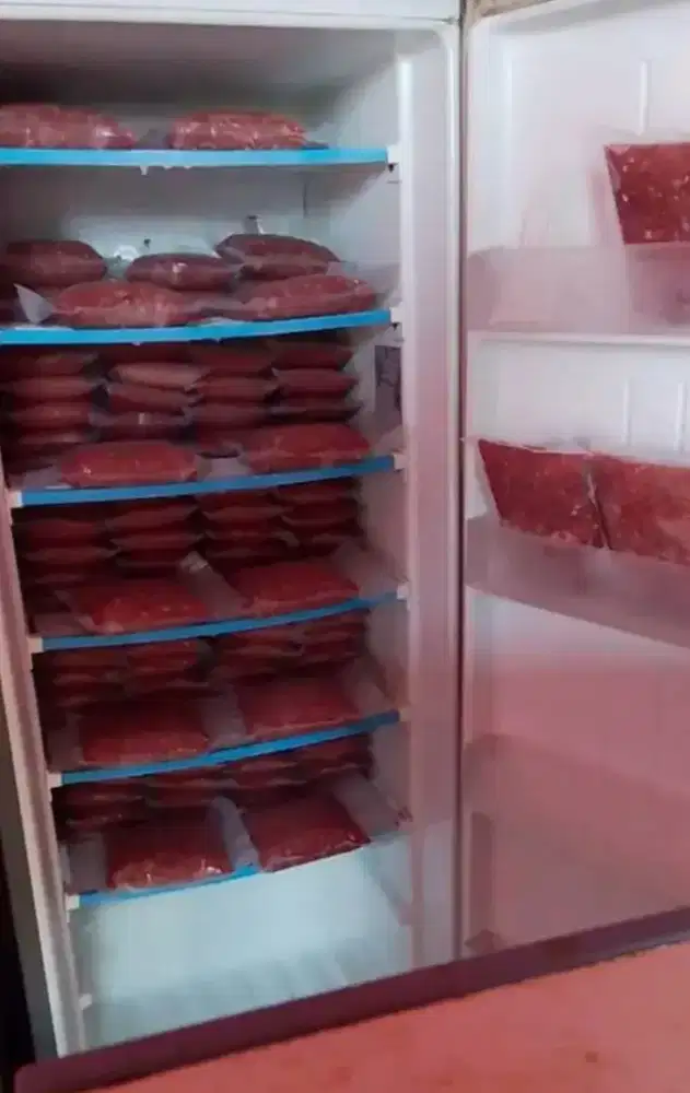 Raw Food kucing dan anjing