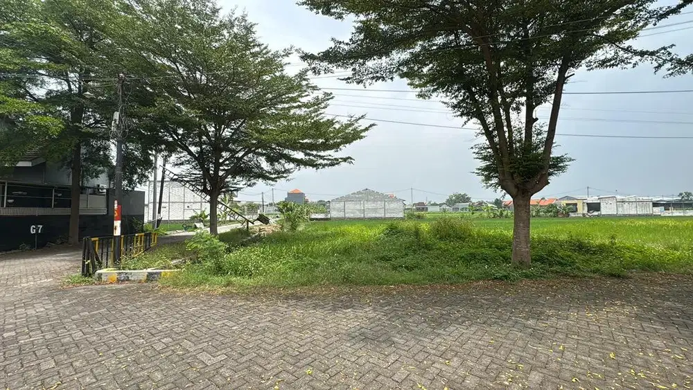 DIJUAL CEPAT TANAH 300jt NEGO