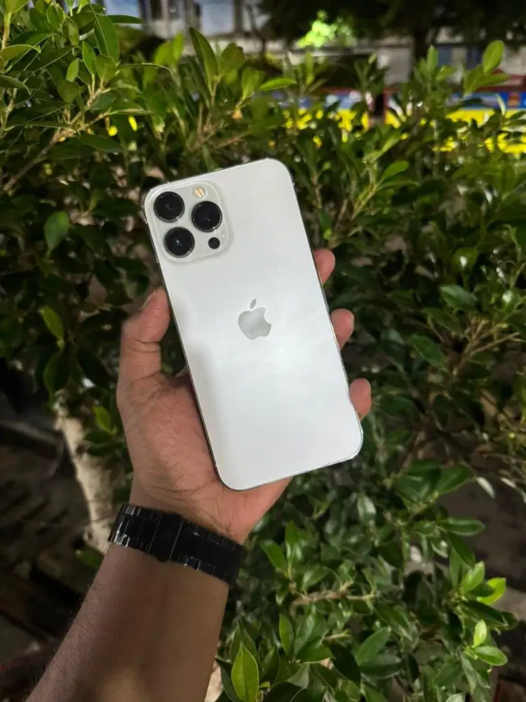 Iphone 13 Pro Max 256 Allprovider