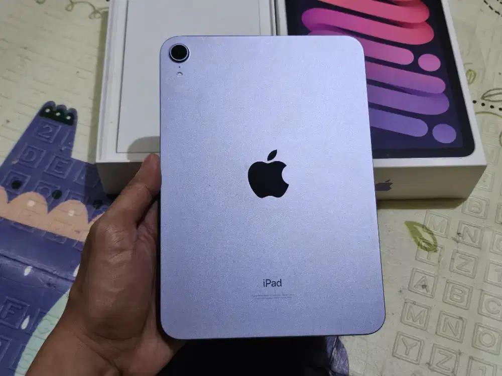 Ipad mini 6 256gb