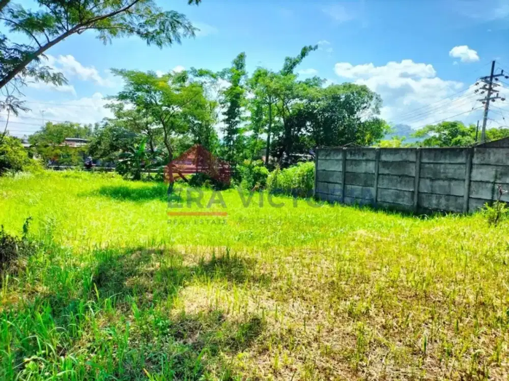 Tanah luas untuk gudang pinggir jalan Pasuruan Purwodadi Malang Surabaya