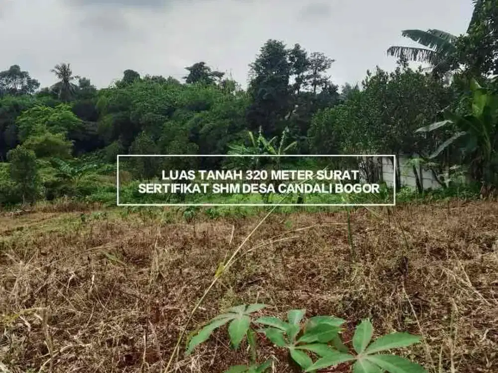 TANAH MURAH SUDAH SHM LOKASI DI DESA CANDALI KEMANG BOGOR