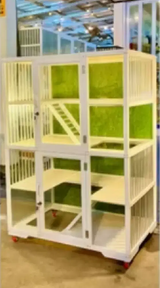 Kandang kucing persia 78