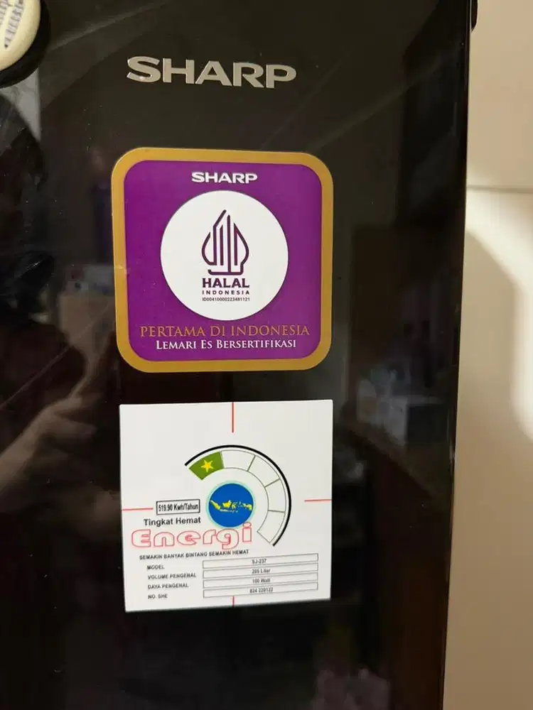 Kulkas sharp 2 pintu