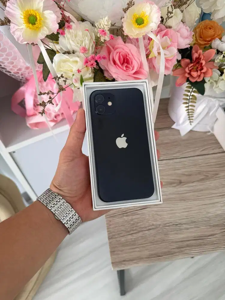 iPhone 12 64gb (ex inter LLA)