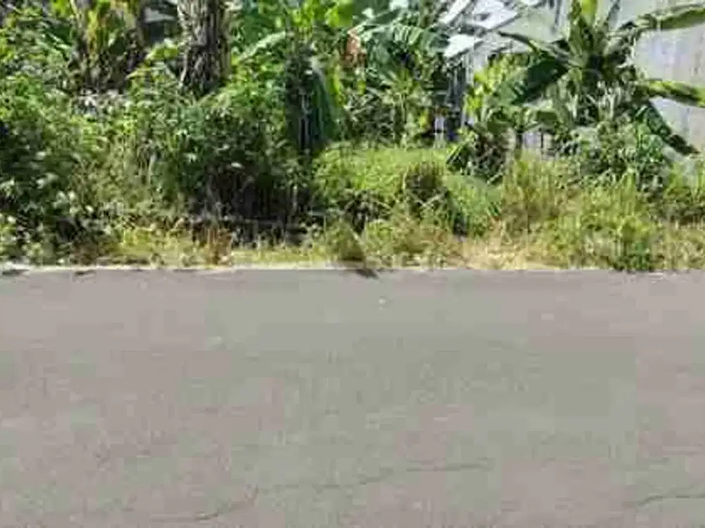 DIJUAL Tanah Di Colomadu Gawanan